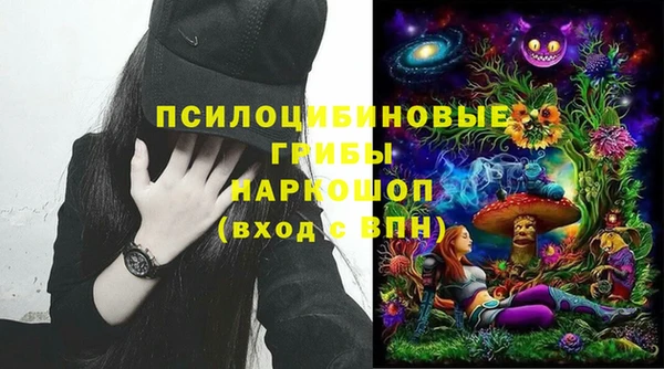 прущие крисы Арсеньев
