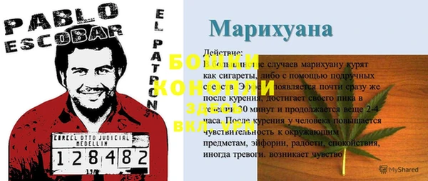 винт Аркадак