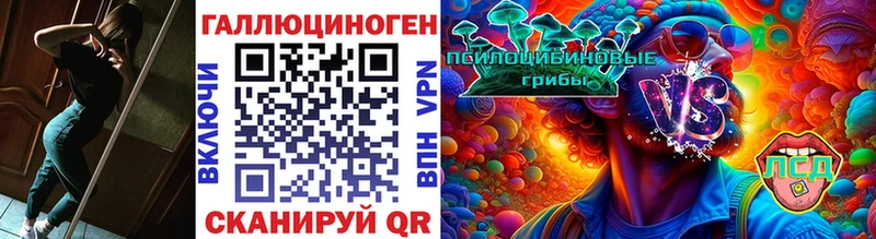 Псилоцибиновые грибы Psilocybe  Асбест 