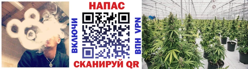 наркота  Асбест  Шишки марихуана ГИДРОПОН 